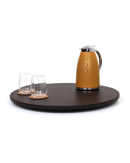 Tray - Lazy Susan - Earth