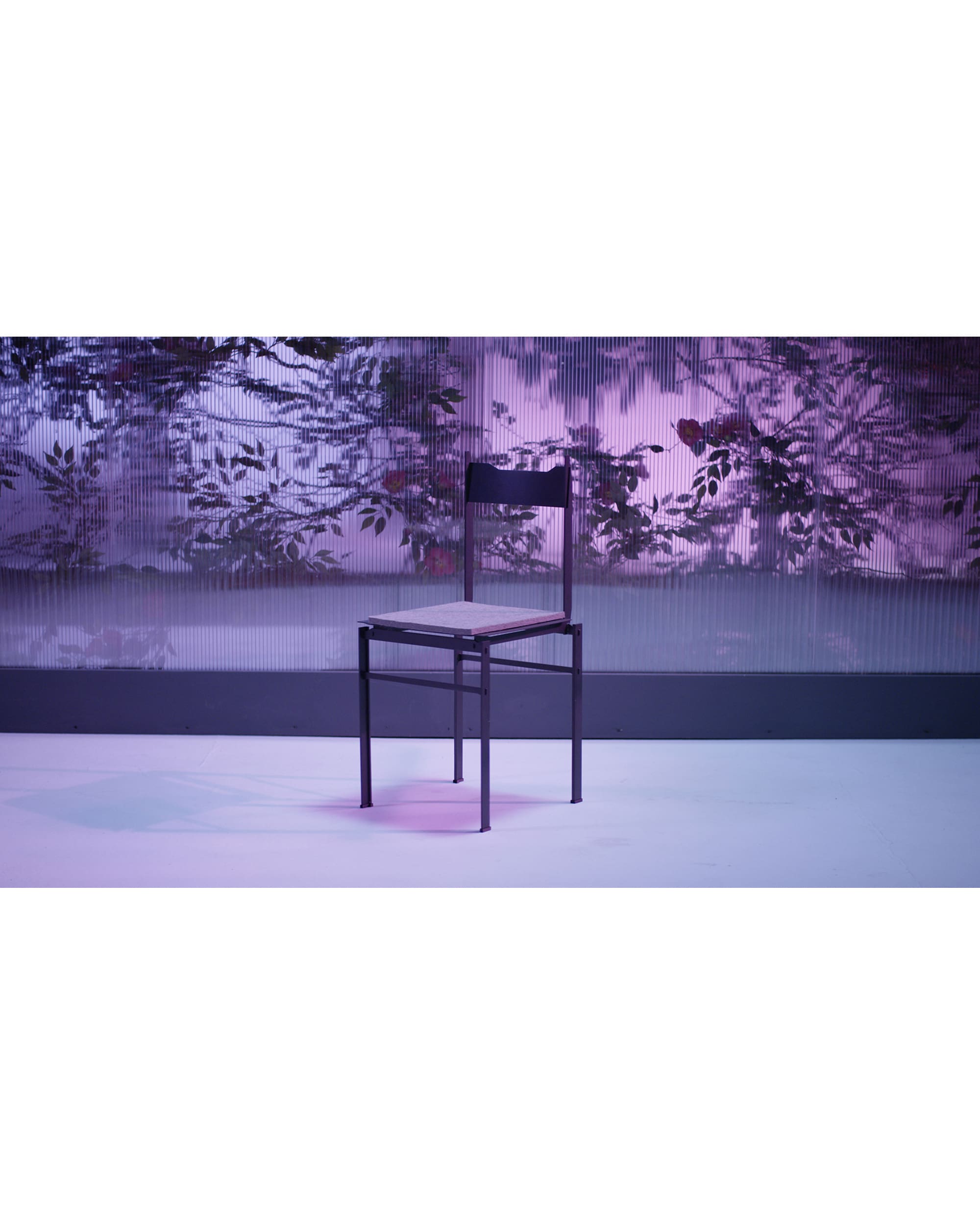 Ensis - Set of 2 chairs